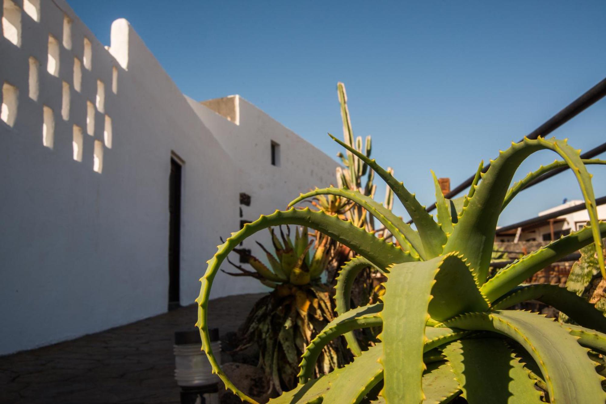 Casa Rural Finca Isabel Mozaga Kültér fotó