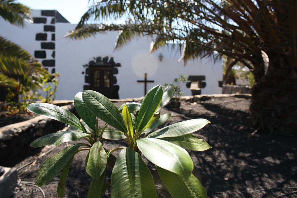 Casa Rural Finca Isabel Mozaga Kültér fotó
